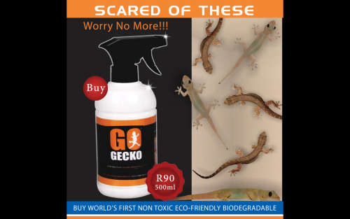 go gecko spray