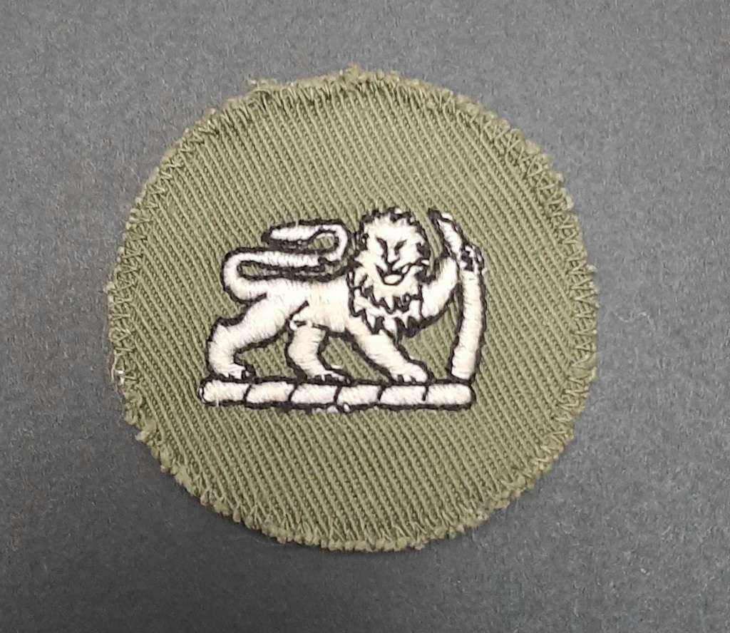 Other Badges Insignia Rhodesian Bush War S Rhodesian Army