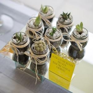 Wedding Favours & Gifts - Wedding favours - Going green gifts was ...