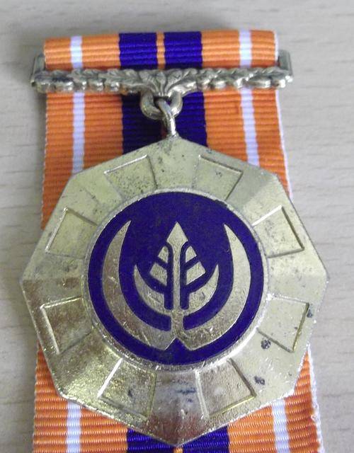 SADF & SANDF Pro Patria medal, *link suspender* Full size, no.56308