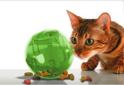 Toys Slimcat Interactive Cat Feeder Green Was Sold For R60 00