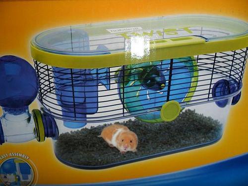 Habitrail twist hamster clearance cage