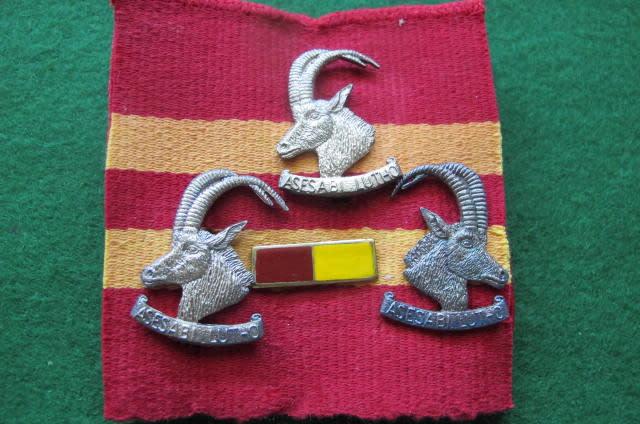 International Badges Insignia RHODESIA BUSH WAR RHODESIAN