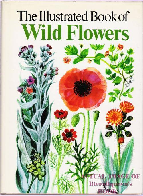 Natural Science The Illustrated Book of Wild Flowers B. E