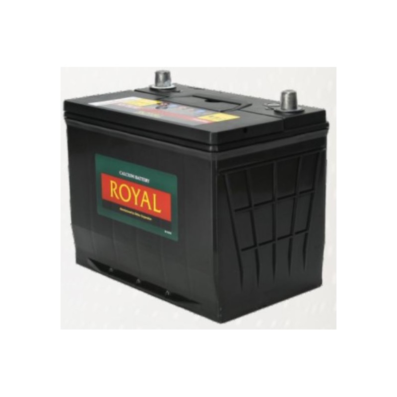 Other Electronics - 65AH 12V ROYAL BATTERY was sold for R825.00 on 10 