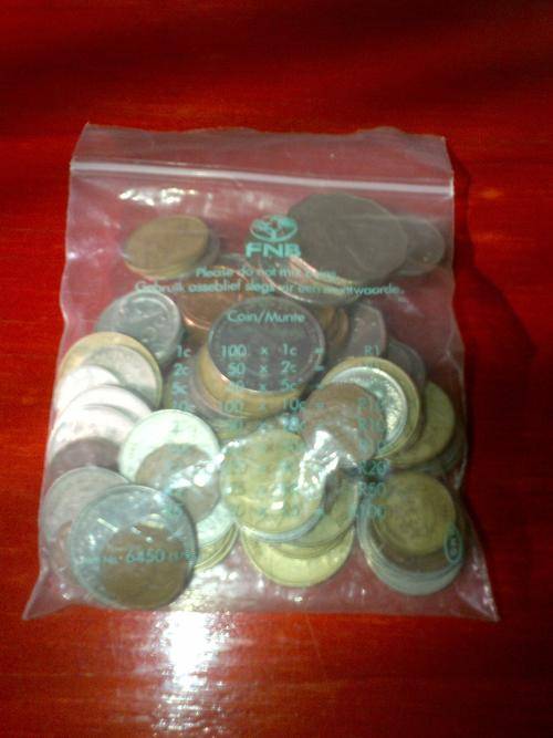fnb coin bags