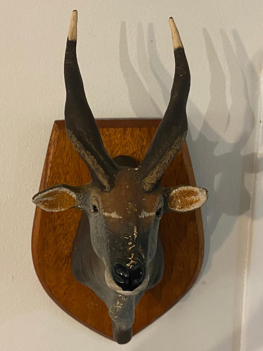 Other Antiques Collectables MINI CAST KUDU HEAD MOUNTED AS THE