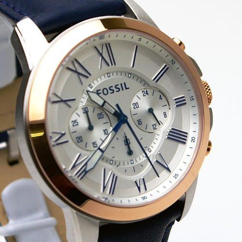 fossil essay fossil essay