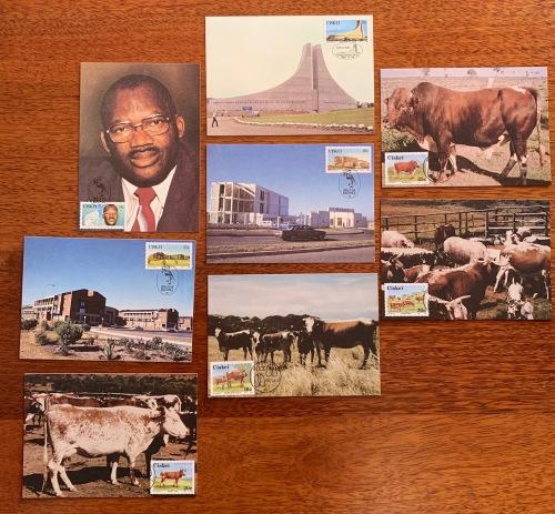 Bulklots And Thematic Collections CISKEI STAMPS For Sale In Cape Town