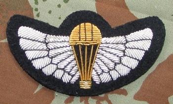 International Badges & Insignia - New Zealand Sas Special Air Services 