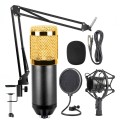 BM-800 Mic Kit Condenser Microphone with Adjustable Mic Suspension Scissor Arm, Shock Mount and Doub