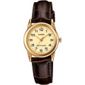 Brown Strap|Gold Dial