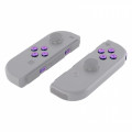 NS JoyCon Soft Touch 16 piece Button Kit Glossy Chameleon Blue / Purple