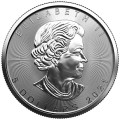 2021 1oz Canadian .9999 pure Silver Maple Leaf Coin (BU) encapsulated