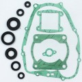Gasket Kit Complete Set for Yamaha Blaster YFS200 1988-2006 with Oil Seals
