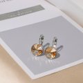 Silver Smoky Crystal  Earring Jewelry Ref8