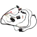Complete Electrics Wiring Harness CDI Ignition Coil Solenoid Relay Kits for 4-Stroke ATV QUAD