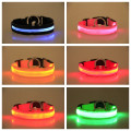 LED Glowing Dog Collars for After Dark.