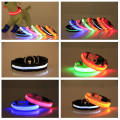 LED Glowing Dog Collars for After Dark.