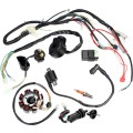 CDI Ignition Coil Wiring Harness Switch Stator Solenoid Relay Regulator for ATV QUAD Dirt Bike