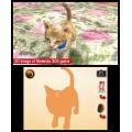 Nintendogs + Cats: Toy Poodle & New Friends (Nintendo 3DS)