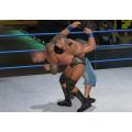 WWE SmackDown vs. Raw 2010 - Platinum (PlayStation 3)