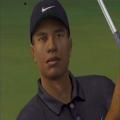 Tiger Woods PGA Tour 2004 - Platinum (PlayStation 2)