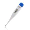 BWW Digital Pen Thermometer