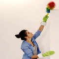 Magic Duster - Synthetic Multi-Colour Cleaning Feather Duster