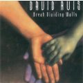 David Ruis  Break Dividing Walls CD IMPORT