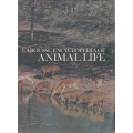 Larousse Encyclopedia of Animal Life - Larousse