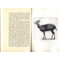 African Antelopes- Supplement to the Journal of the Royal African Society Vol. XXXV, No. CXLI