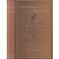 A Naturalist in the Transvaal - Distant, W. L.