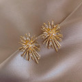 Silver needle firework rhinestone earrings