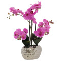 Pink Orchid in Silver Flower Pot