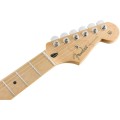 Fender Player Series Stratocaster - Maple Fretboard - Buttercream
