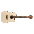 Ibanez PF10CE Acoustic Guitar w/ Pickup - Open Pore Natural