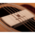 Seymour Duncan SA-3SC Woody Single Coil Acoustic Guitar Soundhole Pickup - Maple