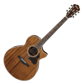 Ibanez AE245-NT AE Series Acoustic-Electric Guitar - Natural