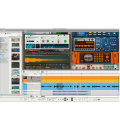 Reason 12 Music Recording & Producing Software - Upgrade for Intro/Lite