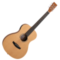 Tangelwood TWR2 PE Parlour Acoustic-Electric Guitar - Natural