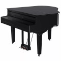 Roland GP-9 Digital Piano - Polished Ebony