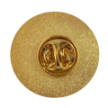 Catechist Enamel Gold Plated Lapel Pin