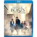 Fantastic Beasts And Where To Find Them (Blu-ray disc)