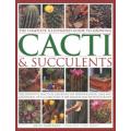 The Complete Illustrated Guide to Growing Cacti & Succulents - the Definitive Practical Reference on