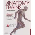 Anatomy Trains - Myofascial Meridians for Manual and Movement Therapists (Paperback, 3rd Revised edi