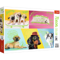 Trefl Puzzles - Far Out Dogs 1000pc
