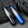 Serendipio Chandler Vacuum Water Bottle - 500ml