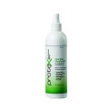 Protex Disinfectant Spray - 300ml