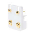 Gold Plated Stainless Steel Surgical Stud Earrings